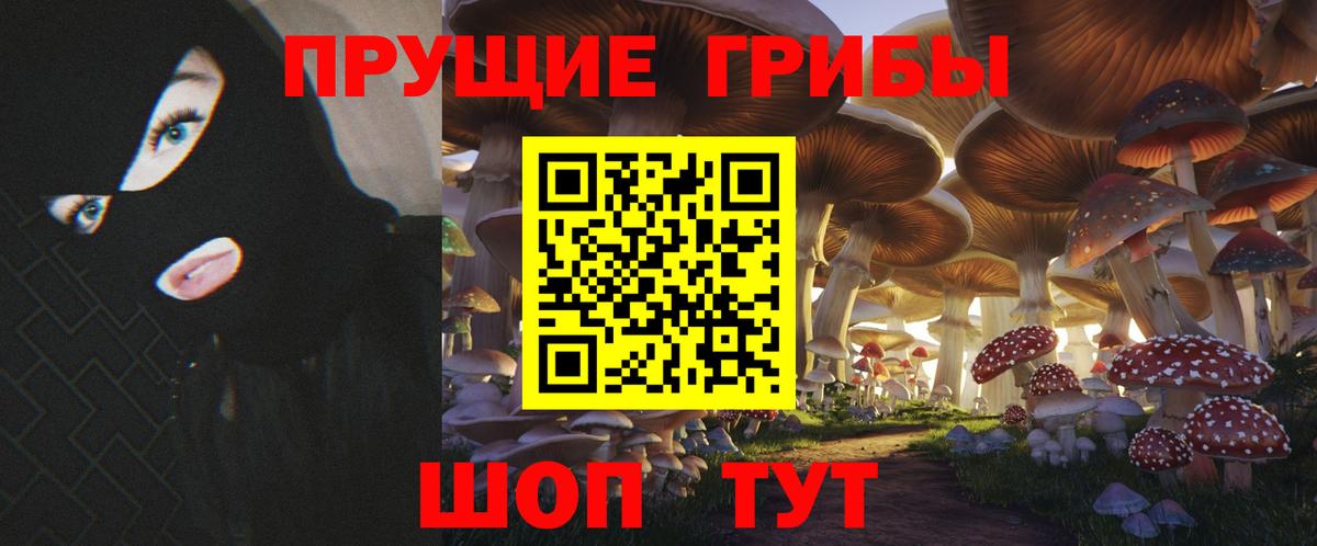 Галлюциногенные грибы Cubensis  где купить наркотик  Ковров  Вход с VPN 